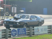 MUSTANG